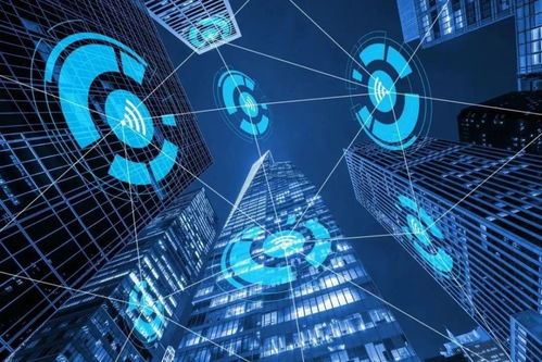 智網(wǎng)安云 東西湖企業(yè)守護(hù)中國西北網(wǎng)絡(luò)安全，引領(lǐng)網(wǎng)絡(luò)技術(shù)開發(fā)創(chuàng)新