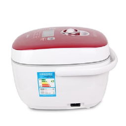 格蘭仕B551T-45F16電飯煲產(chǎn)品解析與IT168平臺(tái)選購(gòu)指南